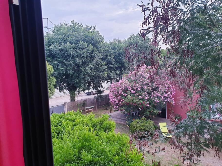 Maison Centre-Ville Penta di Casinca Zewnętrze zdjęcie